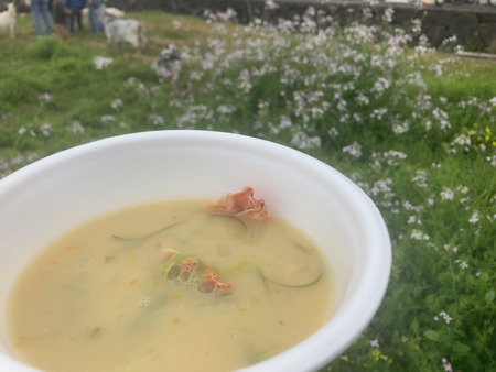 2024.04.27 �˲���ī��IMG_7142