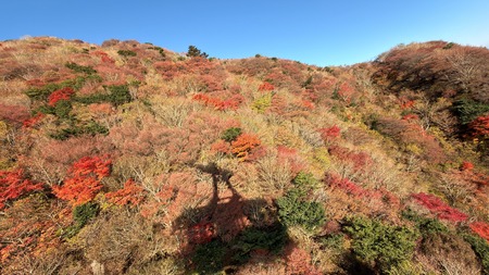 �������ƽIMG_2972