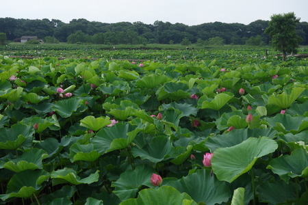 6�����������ϥ���DSC08820