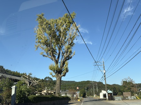 ���߻��ζ��IMG_3618