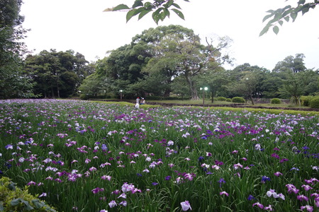 ��������¼����DSC08273