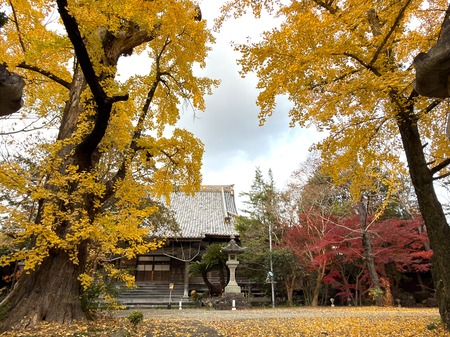 �¾�������IMG_6773