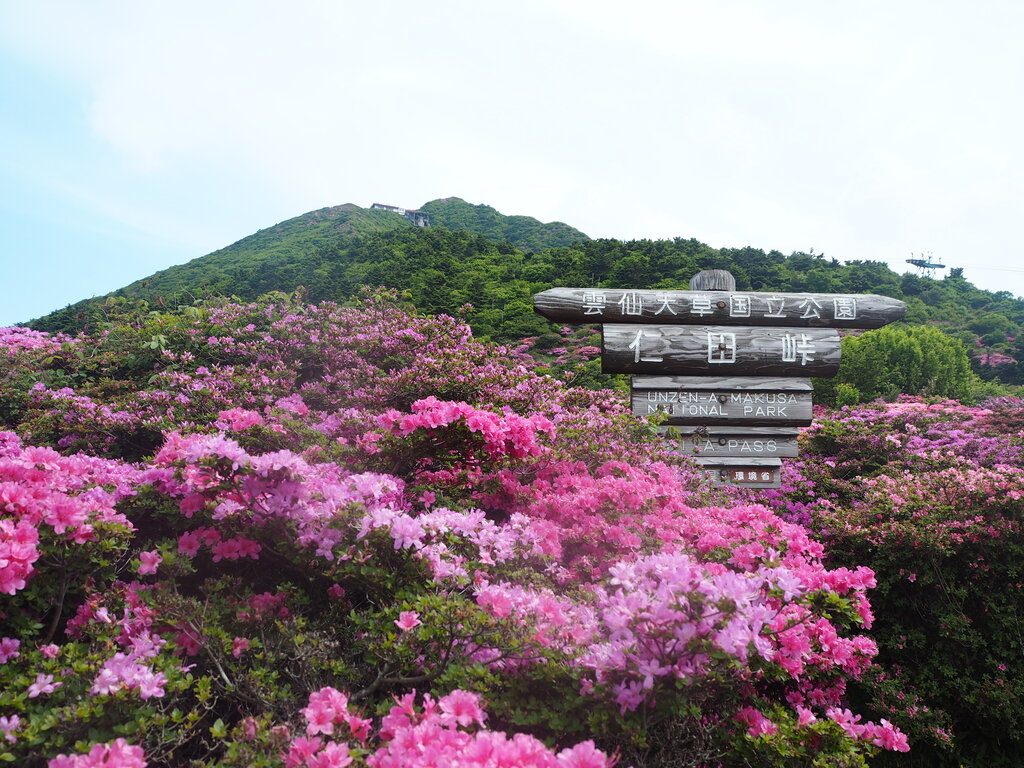 送料無料 即納 1770 九州の花と風景 梅と太宰府天満宮 雲仙ツツジと普賢岳 他 十枚組 カラーマーク付 未使用品 Premierseguros Com Br