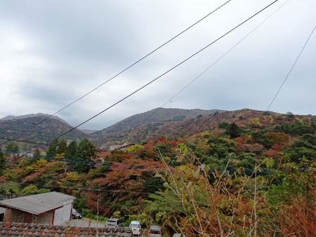 u-8DSC03713