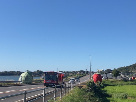 2024.11.09�����ե롼�ĥХ���IMG_8011