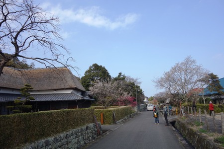 9-国見町 神代小路DSC06487