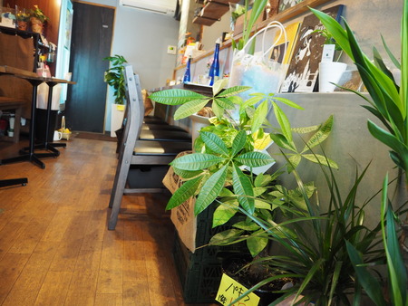 12-長崎市玉園町 花カフェ ガーデンコーヒーPB084175
