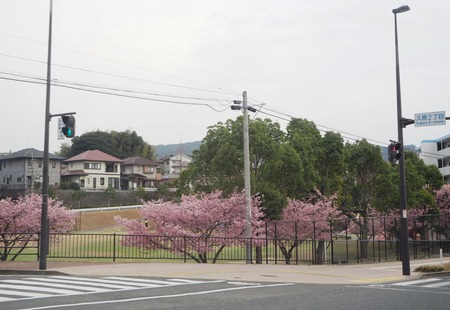1−久原公園P2253462