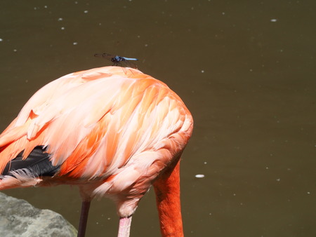 2021.06.21Ĺ��Х����ѡ���P6205427