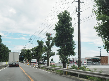 2022.08.05 諫早市小長井町 フルーツバス停P7293251