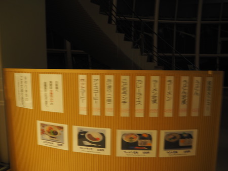 8-諫早市 コスモス花宇宙館PC142495