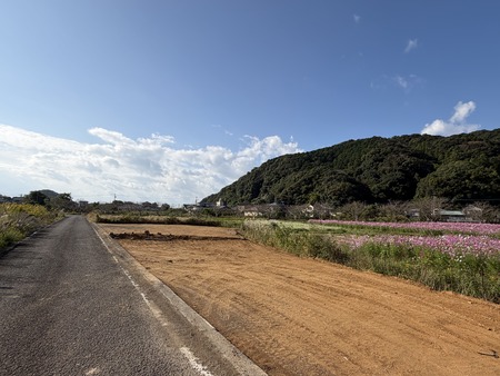 ����Į�ķ�Υ����⥹Ȫ����־�IMG_1399