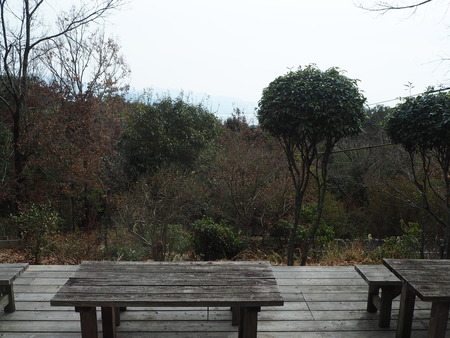 10-諫早市森山町 カフェ COZYコージーP2112584