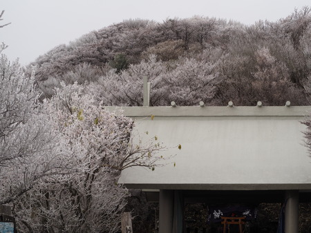 2022.12.03 ±ÀÀç¿ÎÅÄÆ½¡¢Ì¯¸«³Ù¡¡Ì¸É¹P1011698