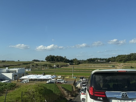 ëÝÁáÆ»¤Î±Ø¤¤¤¤¤â¤ê¤¸¤ã¤¬¡¼¥í¡¼¥ÉIMG_1681