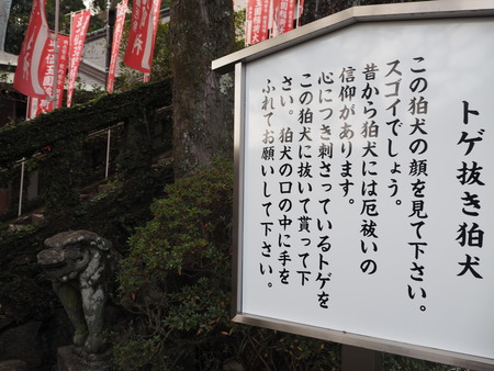 25-Ĺºê»Ô¡¡¥È¥²È´¤¹ý¸¤P1030250