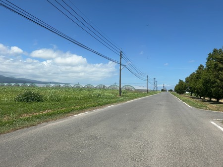 ������������ϤΡ��Ҥޤ��Ȫ����������IMG_6883
