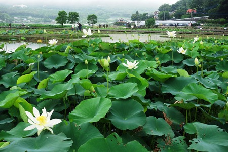 13-����ϥ���DSC09812