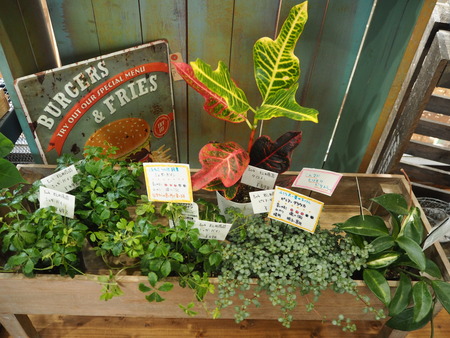 17-諫早市小野島町 干拓の里 じげもん市 松井商店P9078181