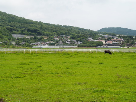 2023.06.10������Կ���Į������դ줢���Ҿ�P1019686