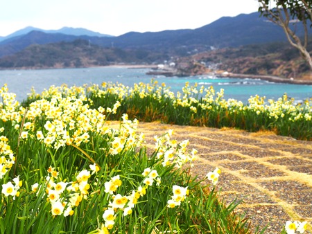 Ĺ�������ꡡ����ε֡���¦Ÿ˾�ꡡP1011958