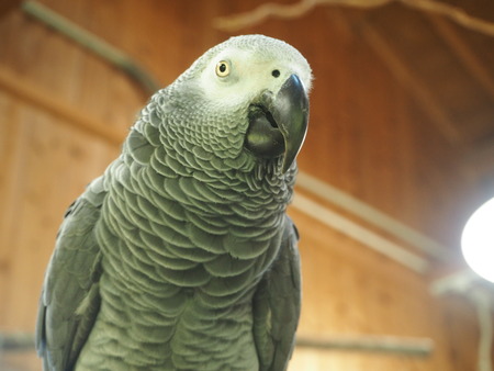 2021.06.21Ĺ��Х����ѡ���P6205801