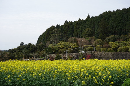 7-Oさん宅DSC06089