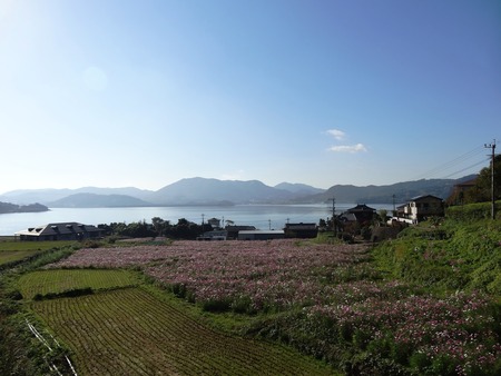 3-DSC04434