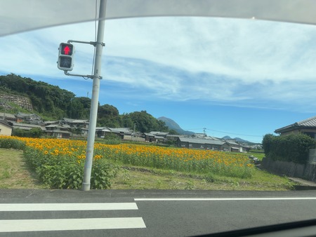 ���縶��������ΤҤޤ��ȪIMG_6359
