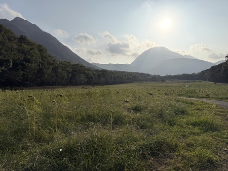 �縶��ĥ���ָ���Ҥޤ���IMG_1944