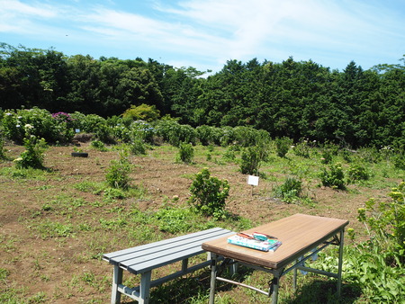 2021.05.28������Կ���Į���å���������P5232129