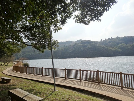 18-DSC02169