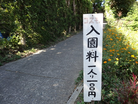 o-2DSC01848
