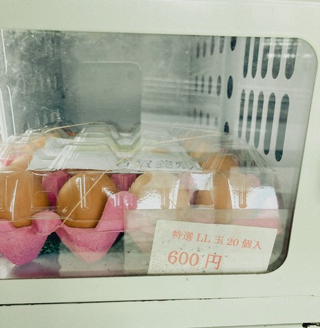 2023.02.07 ´ÒÁá»Ô¡¡¸Å²ìÍÜ·Ü¡¡LL¶ÌIMG_3064