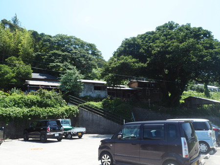 8-Ĺ��Բ�����Į�����ե���������å�2542P7284784