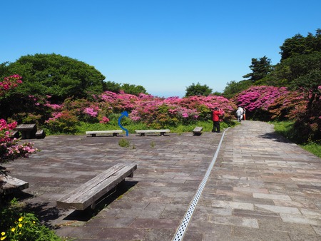 2024.05.10 雲仙仁田峠P5092494-1
