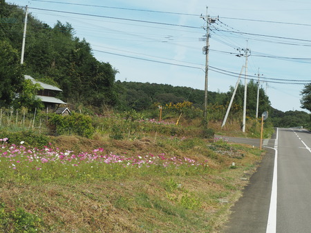 ÂÀÎÉÄ®¤Î¥³¥¹¥â¥¹ÈªP1012159