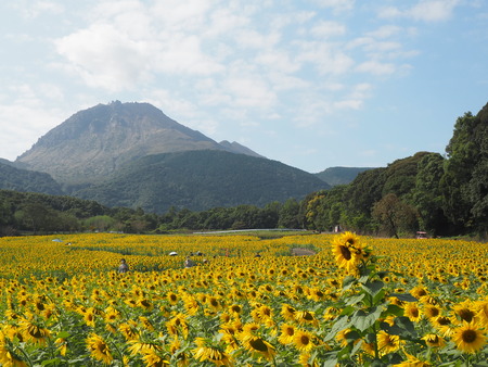 2022.10.22 島原市 火張山花公園PA221962