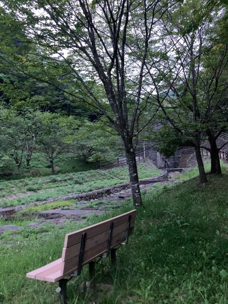 2024.05.22 諫早市多良見町 中里ホタルの里遊歩道IMG_7224