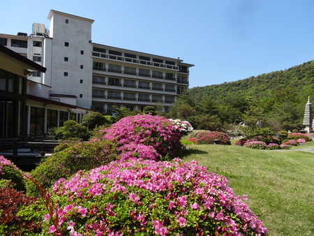 25-DSC01743