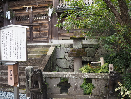 25-Ĺºê»Ô¡¡¿Ûˬ¿À¼Ò¡¡ÉȻҼÒP1030261