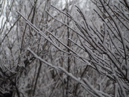 2022.12.03 ±ÀÀç¿ÎÅÄÆ½¡¢Ì¯¸«³Ù¡¡Ì¸É¹P1011662