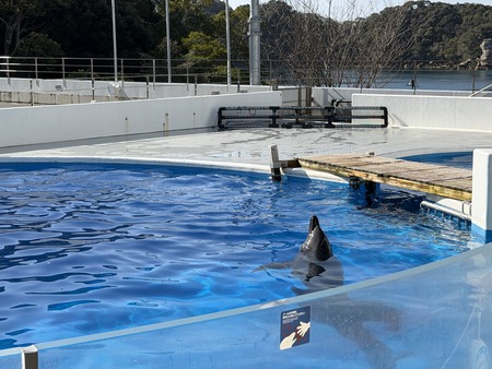 1-2���������IMG_2093