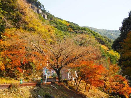 ����Թ���Į�����ή������־��ն�PB261701