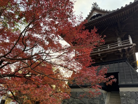 �¾�������IMG_6801