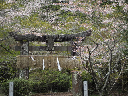 2023.04.01 雲仙市吾妻町 烏兎の杜P1011378