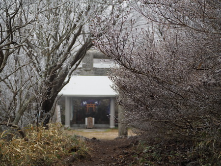 2022.12.03 ±ÀÀç¿ÎÅÄÆ½¡¢Ì¯¸«³Ù¡¡Ì¸É¹P1011689