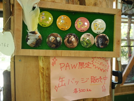 2021.06.21Ĺ��Х����ѡ���P6205805