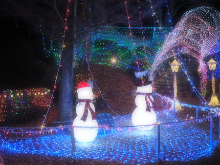 ����Į��������Υ��ꥹ�ޥ�����ߥ͡������PC201492