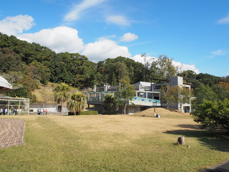 2021.11.14 �����ݻԡ��彽����ư��ʪ�ࡡ�������PB136535